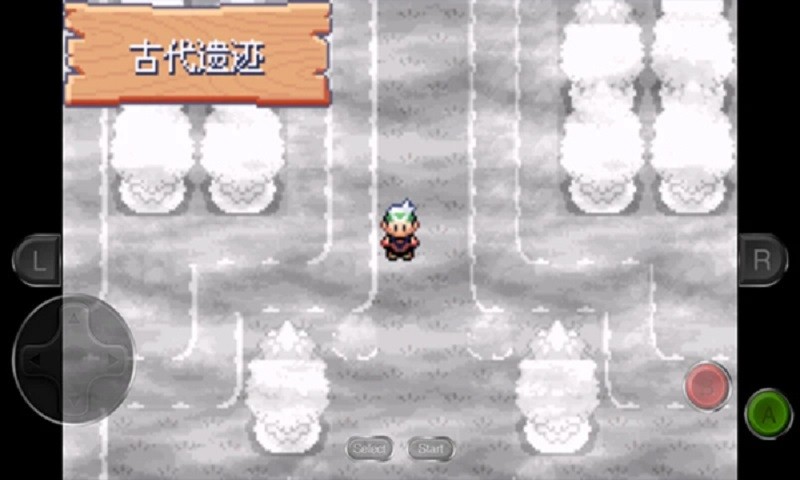 口袋妖怪永恒之沫截图