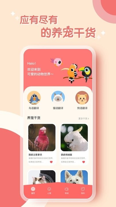 鹦鹉翻译器截图