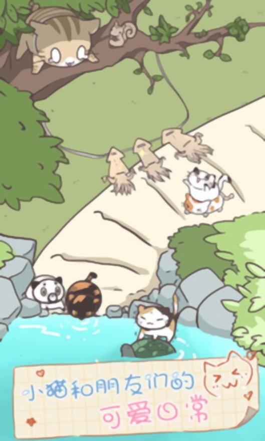 猫咪饲养日常截图