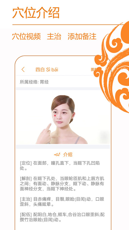 经络养生截图