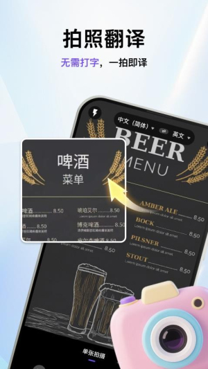 盘古翻译截图
