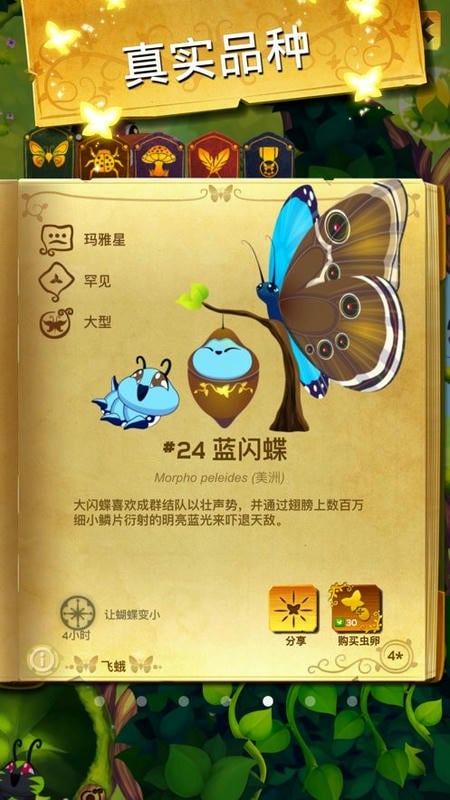 彩翼蝴蝶保护区截图