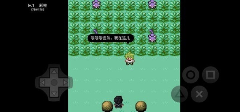 口袋妖怪污浊截图