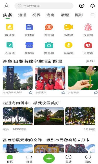 森鱼截图