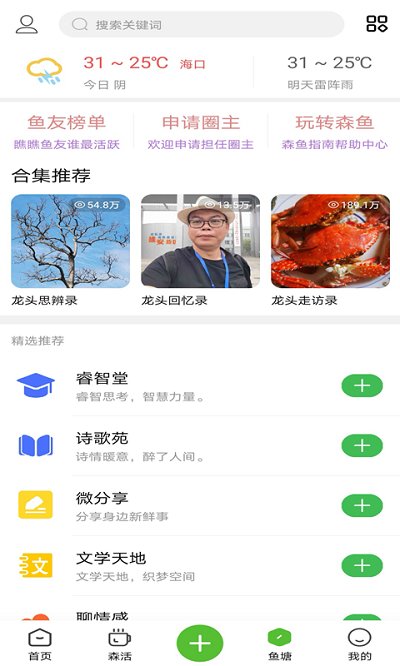 森鱼截图