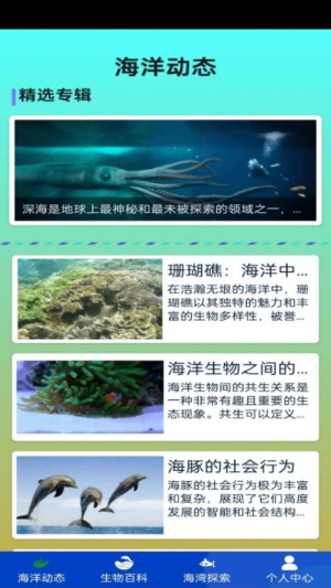 奇趣海湾截图