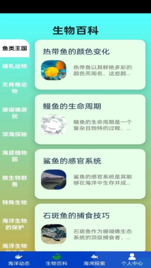 奇趣海湾截图