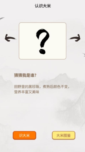 大米成语通截图