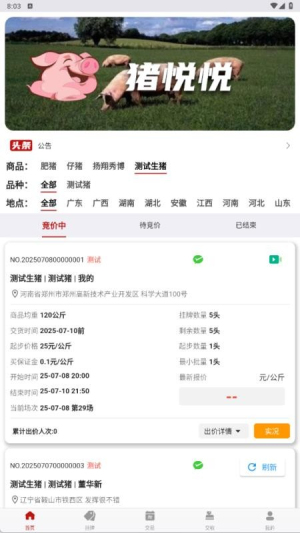 猪悦悦截图