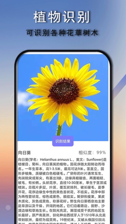 拍照识别截图