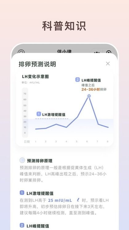 伴小律截图