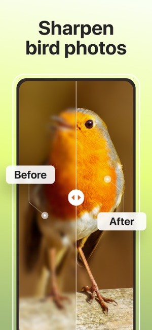 PictureThis截图