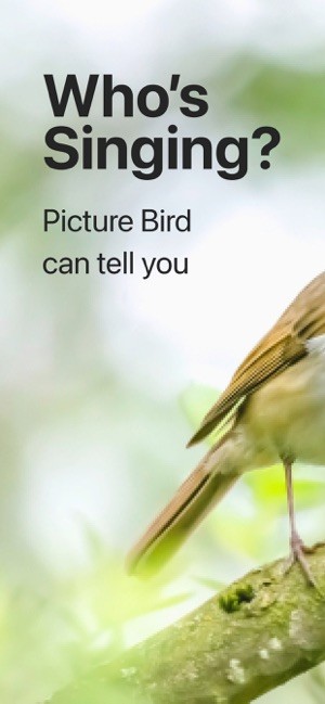 PictureThis截图