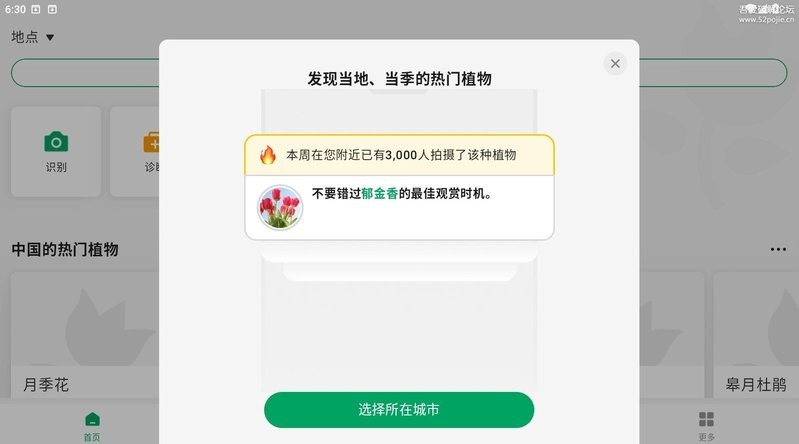 识别植物截图