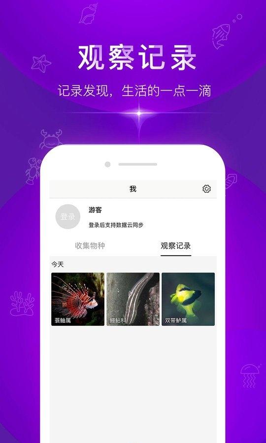 问鱼截图