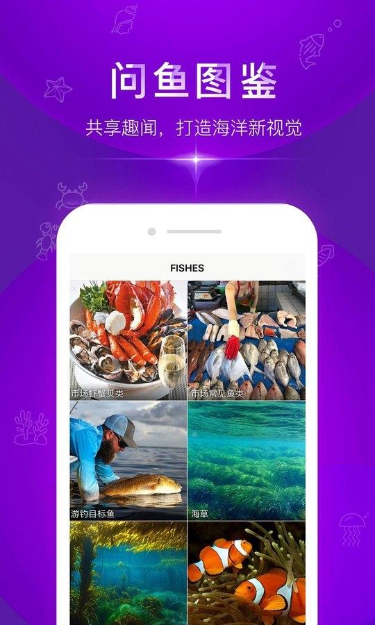 问鱼截图