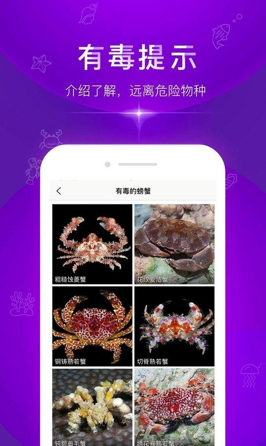 问鱼截图