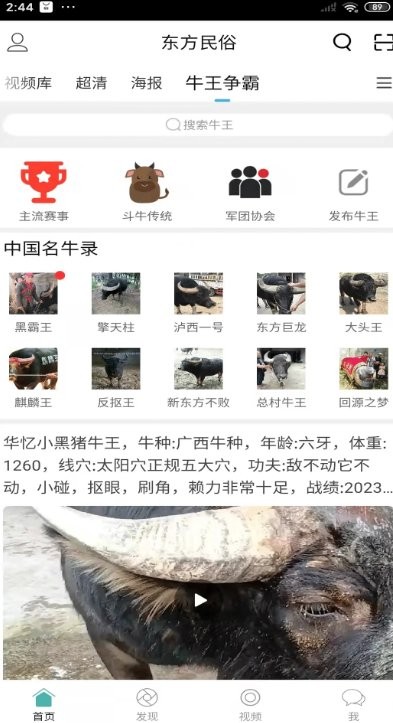 酷牛斗牛直播截图