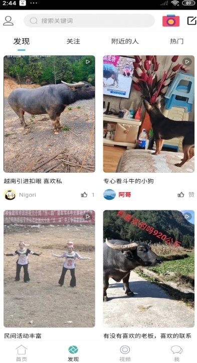 酷牛斗牛直播截图