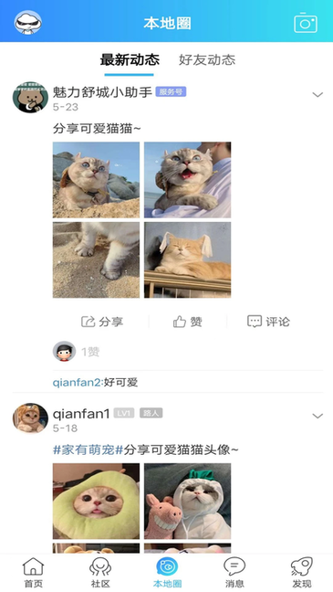 魅力舒城网截图