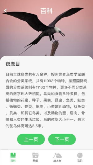 招财凤凰截图