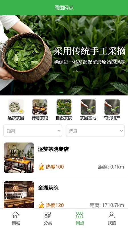 逐梦茶园截图