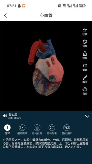 云解剖截图