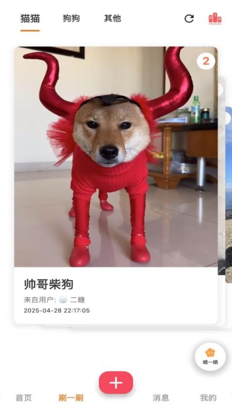 爪爪巴士截图