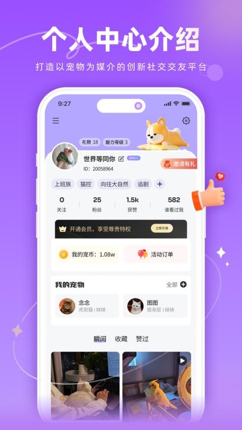 宠TA一生截图