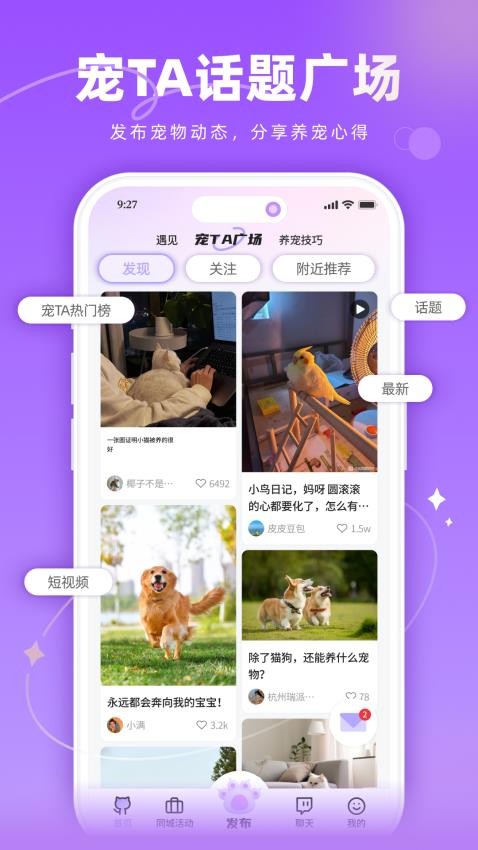 宠TA一生截图
