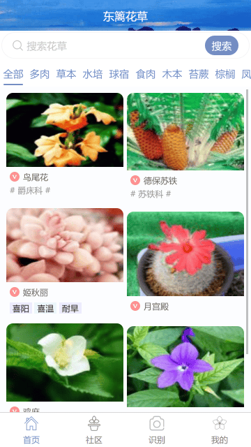 东篱花草截图