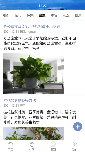 东篱花草截图