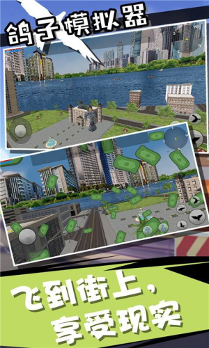 鸽子模拟器截图