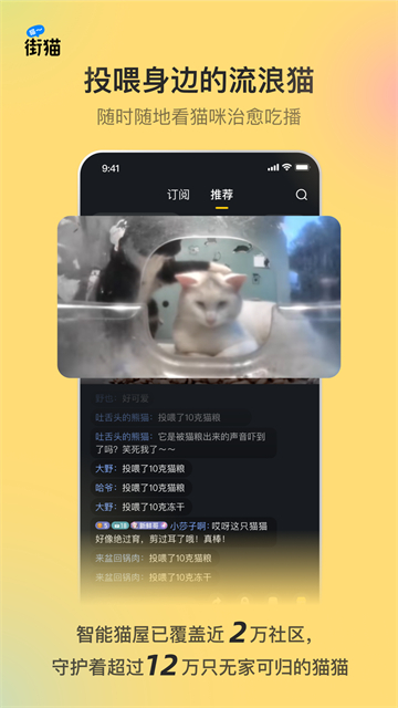 哈啰街猫截图