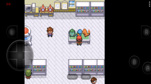 口袋妖怪最后的火红截图