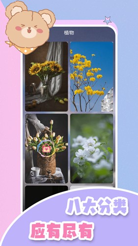 元气小熊壁纸下载截图