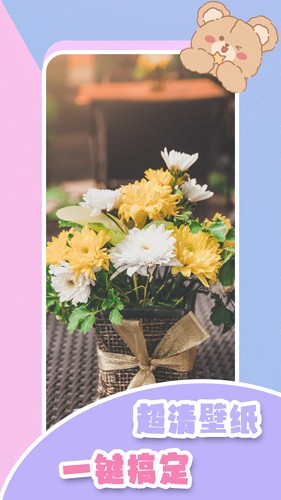 元气小熊壁纸下载截图