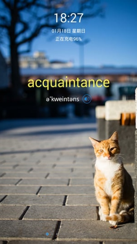 单词锁屏官方版截图