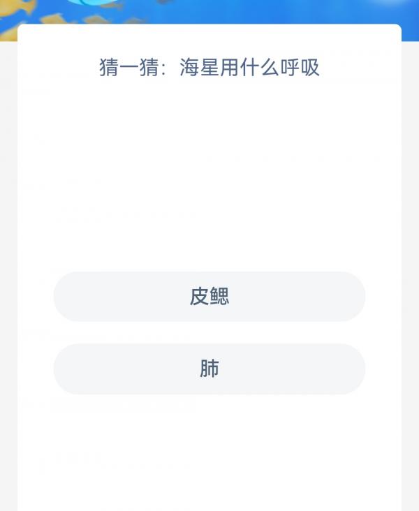 《支付宝》2023神奇海洋科普问答答案1.12
