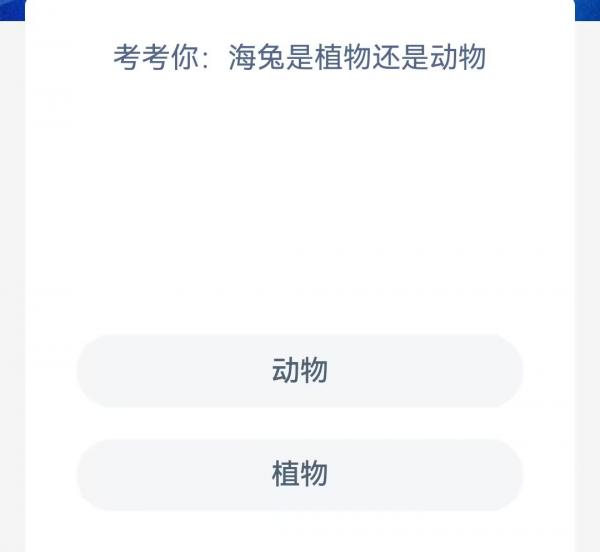 《支付宝》2023神奇海洋科普问答答案4.12