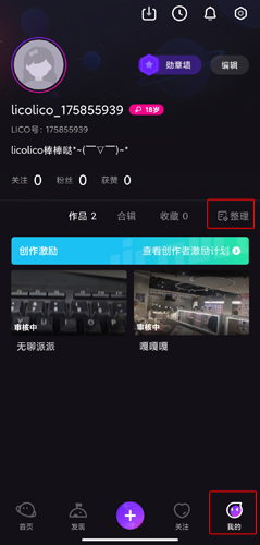 LicoLico图片15